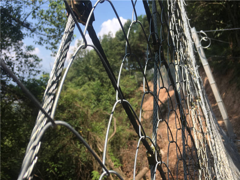 ����(d��ng)߅�·��o(h��)�W(w��ng)